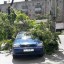 Управление ЖКХ возместит ущерб, нанесенный падением ветви у дороги - ВС